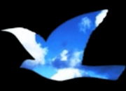 Benutzeravatar
