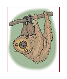 Benutzeravatar